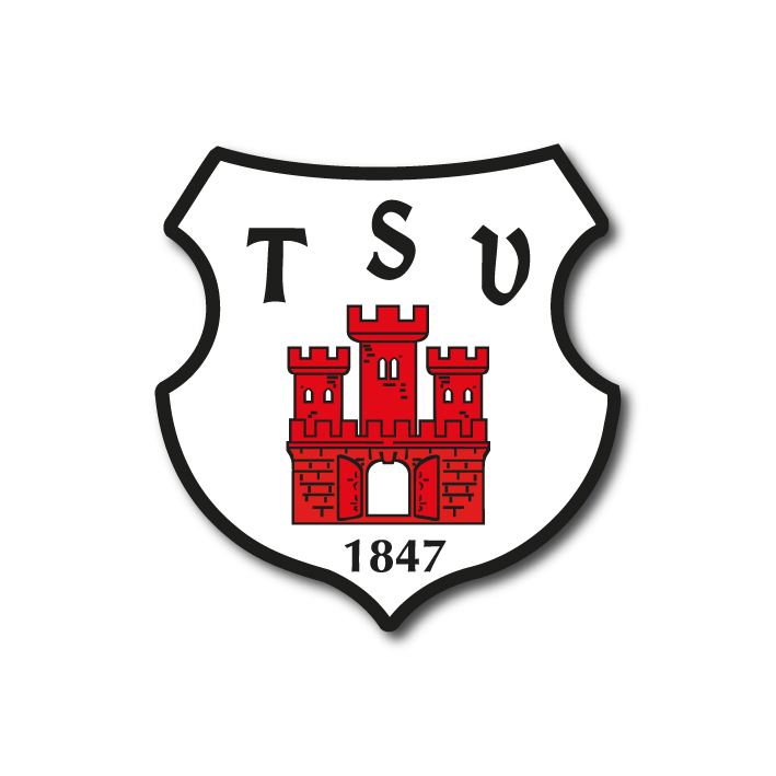 TSV Weilheim Aufkleber – 20 Stk.