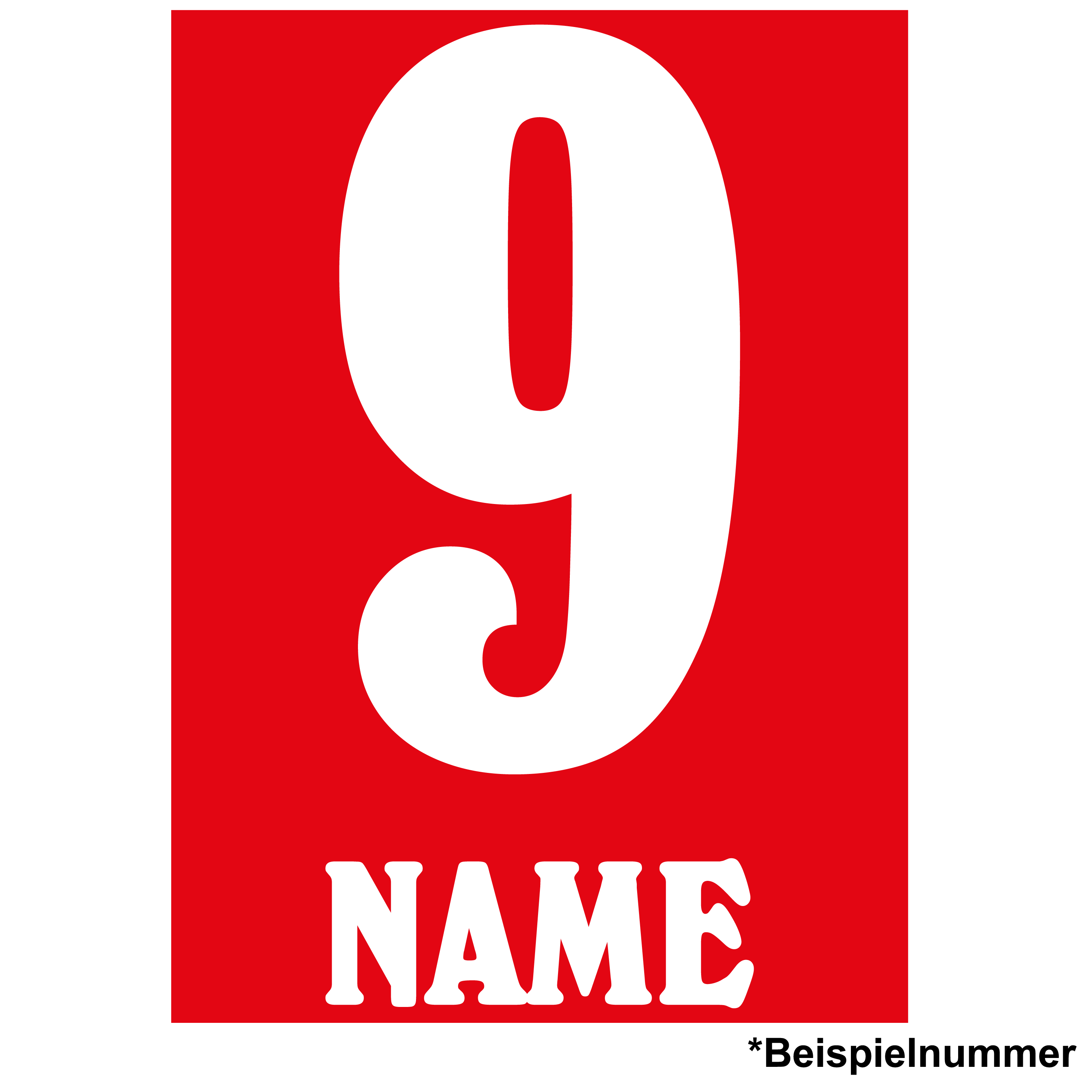 Druck für Holstein Trikot AWAY 2025/26