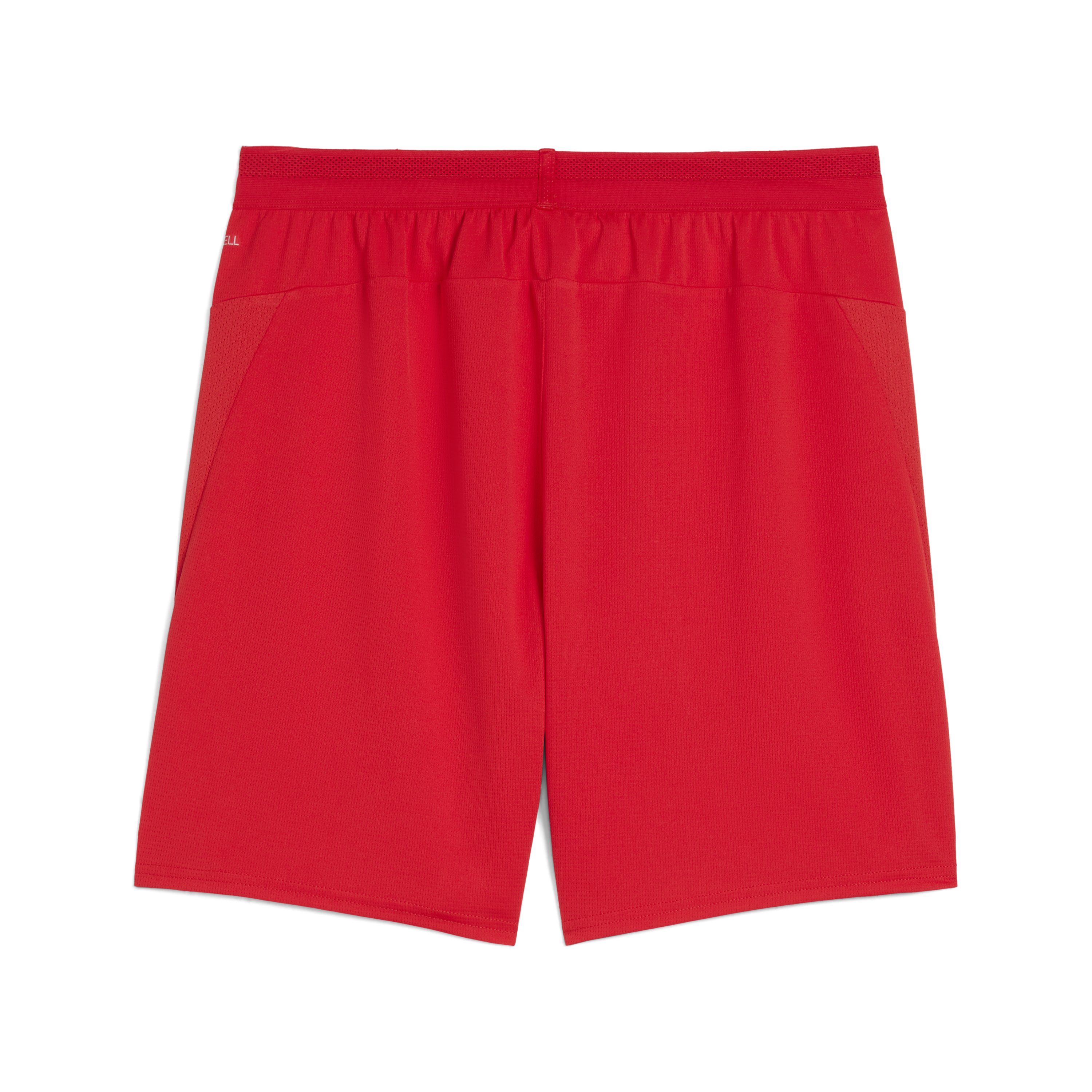 Puma teamCUP Shorts