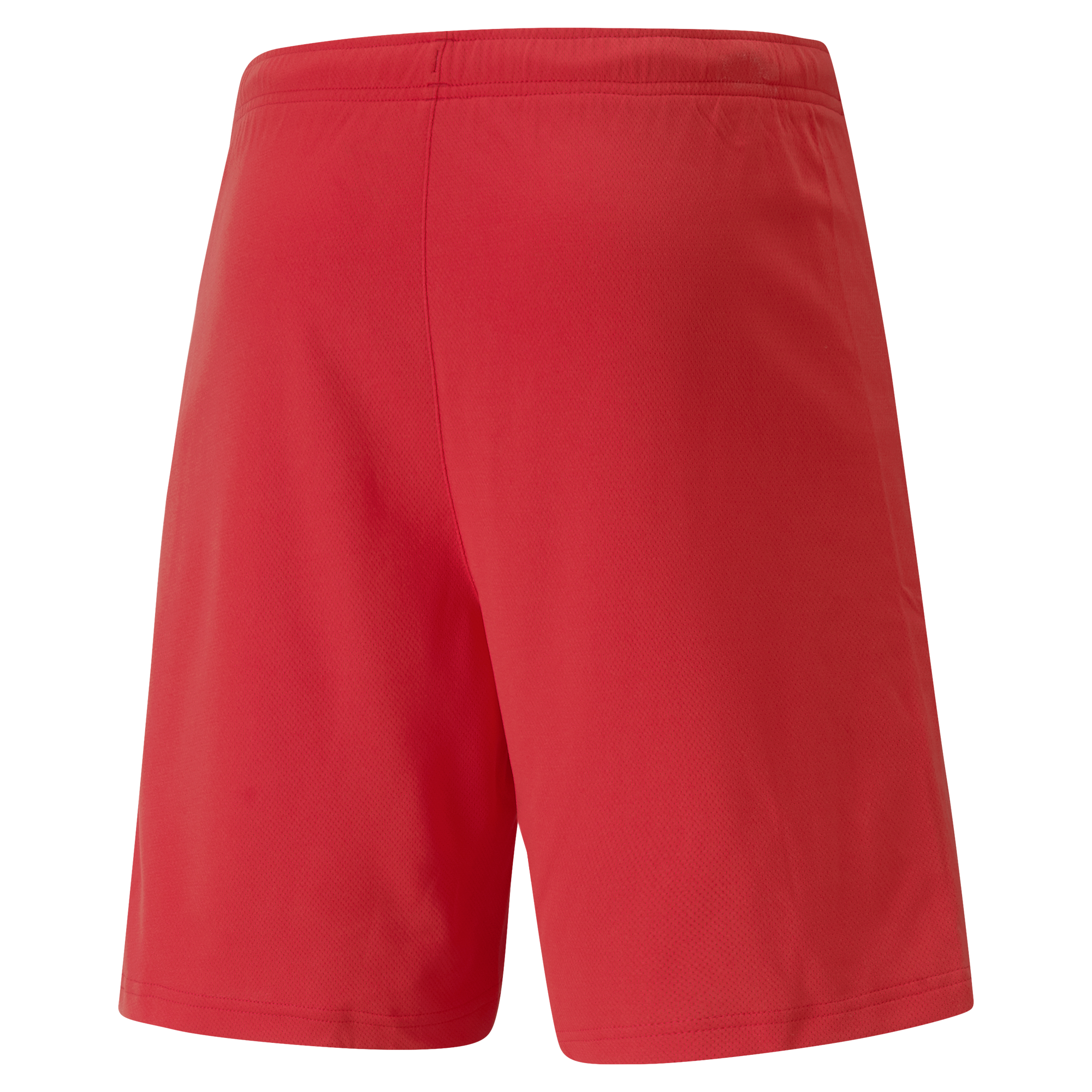 Puma teamRISE Short