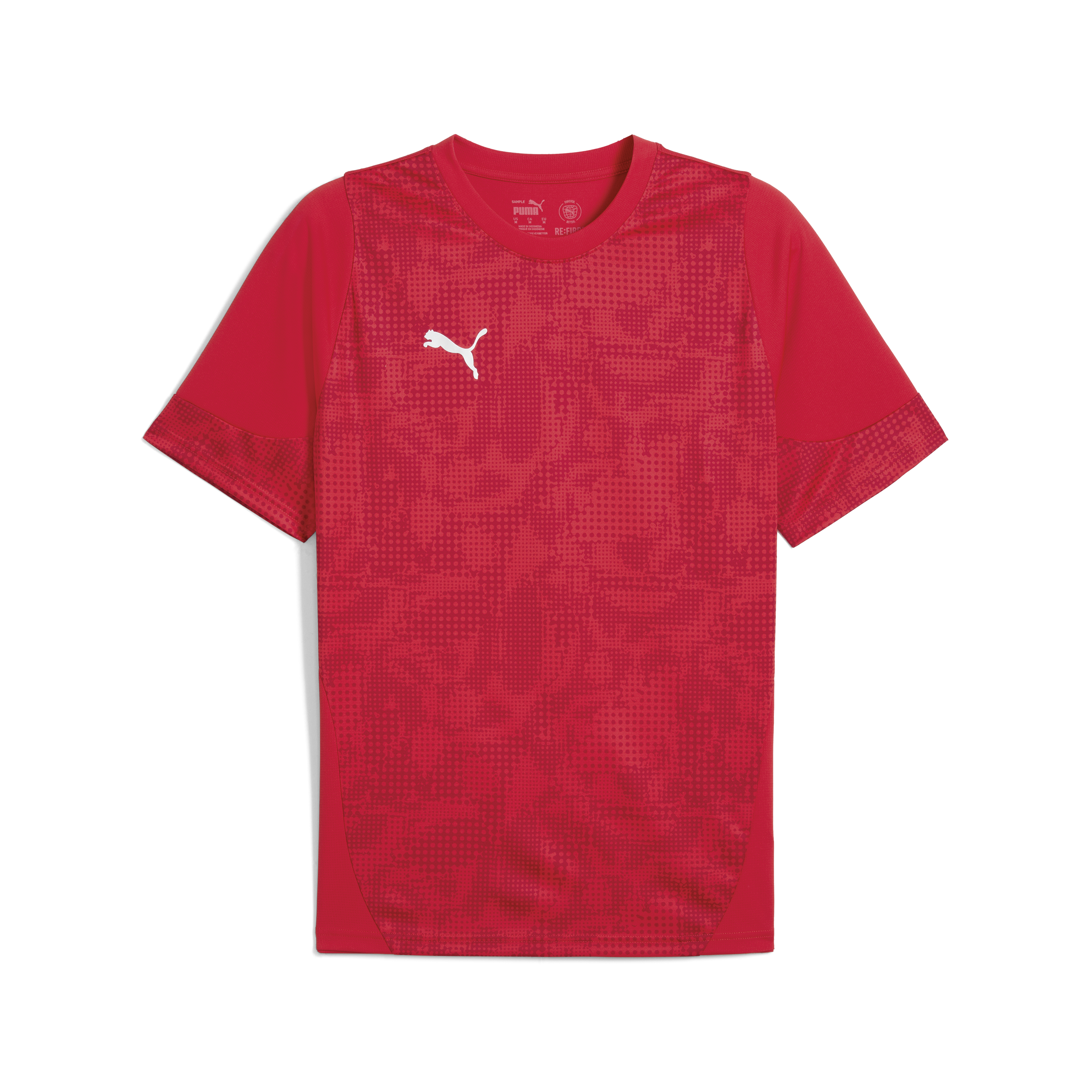 Puma teamCUP Training Jersey